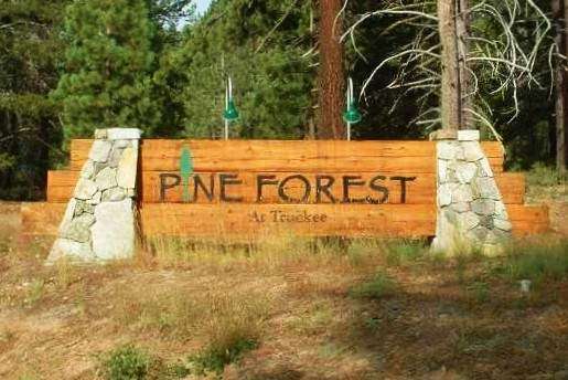 Learn more about Pine Forest