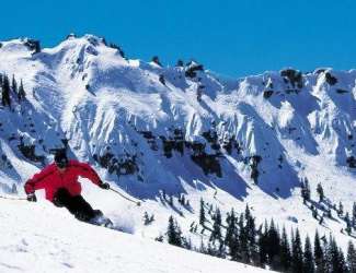 Sugar Bowl